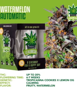 Alternative view of iGrowCan – Automatic – Watermelon