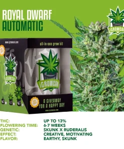 iGrowCan – Automatic – Royal Dwarf