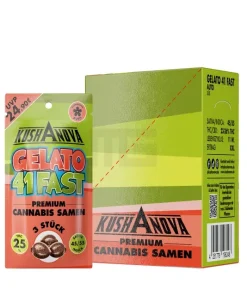 Alternative view of Kushanova – Gelato 41 Fast – 3 Samen
