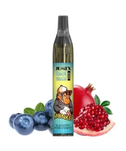 RandM Tornado Vape Vase 600 Blueberry Pomegranate 0 mg/ml